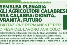 Agricoltura, la Cia Calabria proclama lo stato di agitazione: assemblea a Crotone