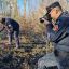 Curinga (CZ), ripreso da un drone mentre appicca un incendio boschivo, arrestato