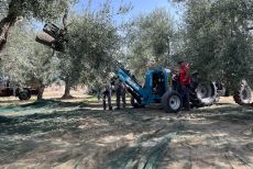 Academy Olivo in Campo Calabria, due giorni tra campo, innovazione, mercato e strategie per il futuro dell&rsquo;olivicoltura