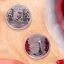 Una moneta da 5 euro celebra il Cir&ograve; e la Cipolla Rossa di Tropea