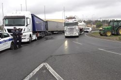 Sciopero degli autotrasportatori, il Codacons avverte: &laquo;Se i blocchi non saranno rimossi oggi, scatteranno le denunce&raquo;